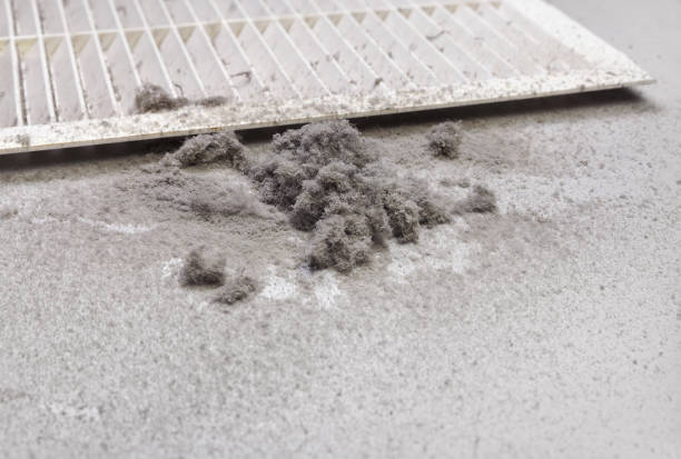 Best Dryer Vent Cleaning Services  in Bamberg, SC