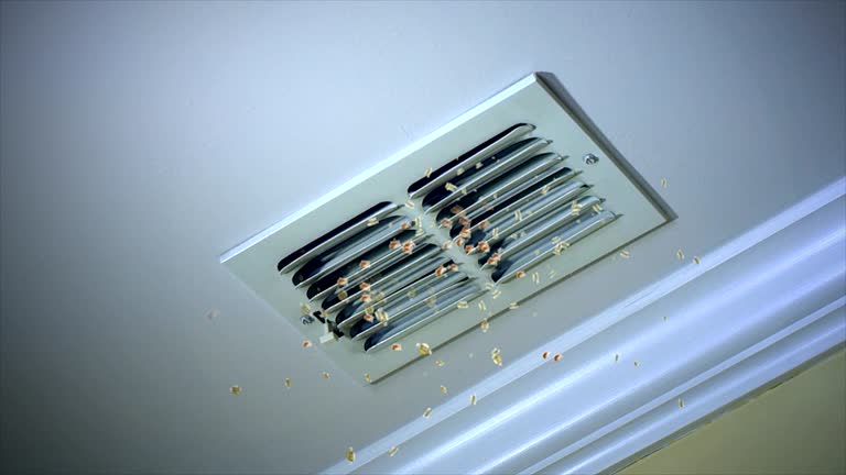 Best Home Air Vent Cleaning  in Bamberg, SC