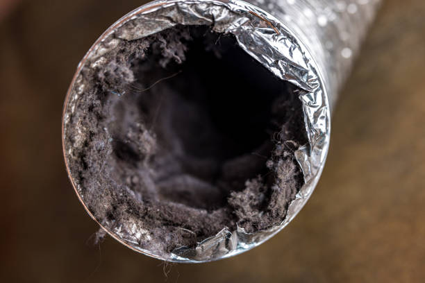 Best Ventilation Cleaning Services  in Bamberg, SC
