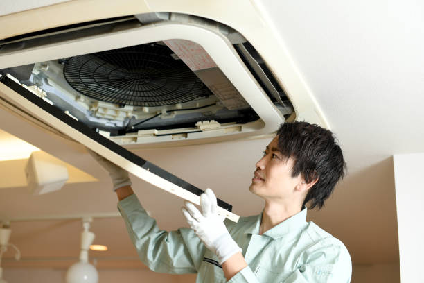 Best Ductwork Cleaning Services  in Bamberg, SC